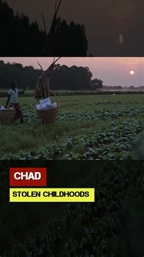 Chad: Stolen Childhoods