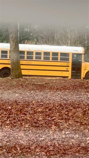 Bus 08-294 2008 ic ce300 spare bus