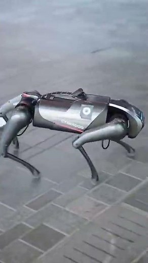 The latest Robot Dog AKA cyber dog Slay Lifestyle