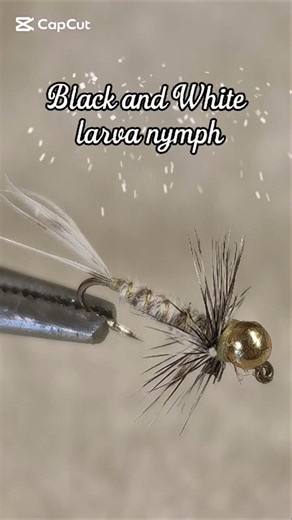 Black and White larva nymph#flyfishing#flytying#larva#freestyle#tutorial