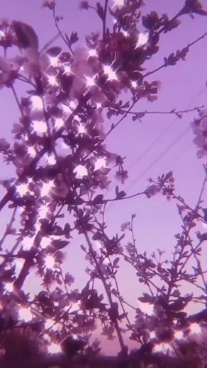 Build a b___ #bellapoarch #aestheticsounds #aesthetic #fyp #foryou #foryoupage #buildabish #sound #editted #slowmo