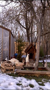 cooking very tasty food episode .🏘🏞🧑🏻‍🍳😋🥰 | Cooking Family