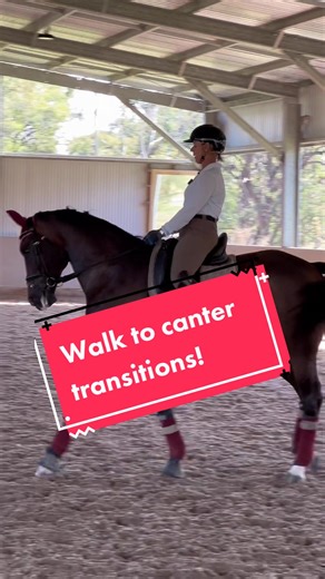 Mastering Walk to Canter Transitions for Dressage Horses