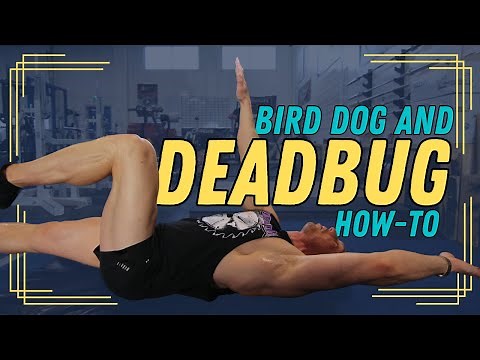 HOW TO: Dead Bug & Bird Dog