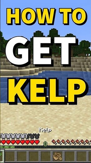 You Won't Believe How EASY It Is To Get Kelp In MINECRAFT