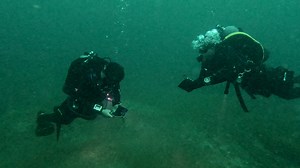 13 reactions | The Advanced Open Water Diver class this summer performed very well, learning underwater navigation, deep diving, night diving, data collection among other new skills and experiences... | St. Lawrence Scuba Co. | Facebook