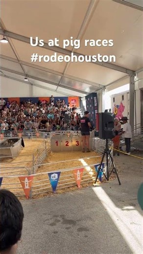 Pig races rodeo