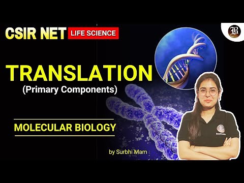 Translation (Primary Components) CSIR NET Life Science Dec. 2024 | Lec-01| Molecular Biology