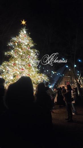 パセリすぴーど on Instagram: "Happy Christmas 星降る森のクリスマス Wishing tree 軽井沢高原教会 長野県軽井沢町星野 2025年12月10日撮影 DJI Osmo Pocket 3 本日、クリスマスにつき、2投目となります。 クリスマスといえば、個人的には、このイベントですね🎄✨ 軽井沢星野エリアのクリスマス 長野観光 クリスマスツリー ランタンキャンドル"