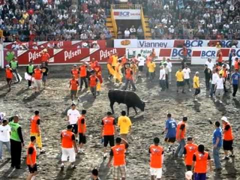 El Torito - Música típica Costarricense