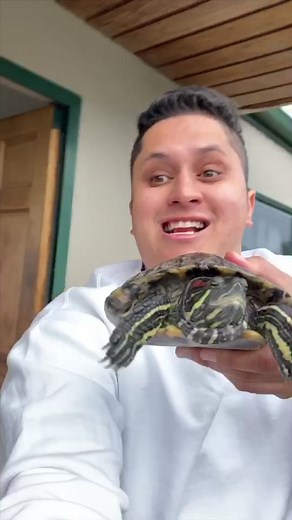 When you annoy your siblings! 😏😂 @unclejacktai ￼@nixonsto @judaxx #maori #uncletics #funny #foryoupage #fyp #phatflat #nz #dad #mum #mom