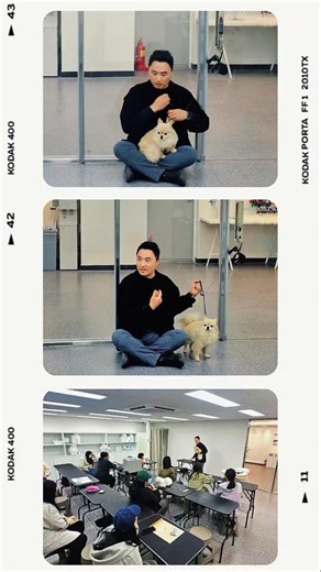 권혁필 훈련사님과 함께한 특별한 행동교정 세미나✨ #애견미용학원 #반려견훈련 #애견미용세미나 #애견미용자격증 #MBC아카데미애견미용학원