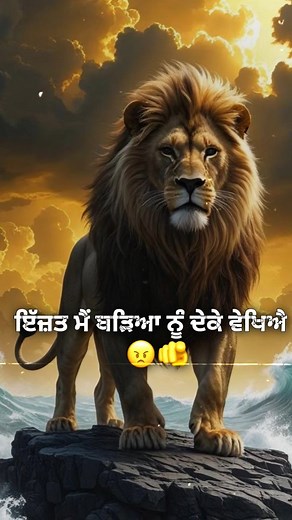 1.5K reactions · 249 shares | ❌ ਕੁੱਤਿਆ ਨੂੰ ਇੱਜ਼ਤ ⁉️ ਨਾ ਆਉਂਦੀ ਕਦੇ ਰਾਸ ਆ ❌.............      ➡️➡️ . Voice....@ . . #trending @fouji.tweet00 . . . #foujitweet00 # #sidhumossewala #badmashi | Fouji Tweet | Facebook