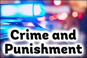 Crime and Punishment Topic Guide for Teachers - Teaching Packs