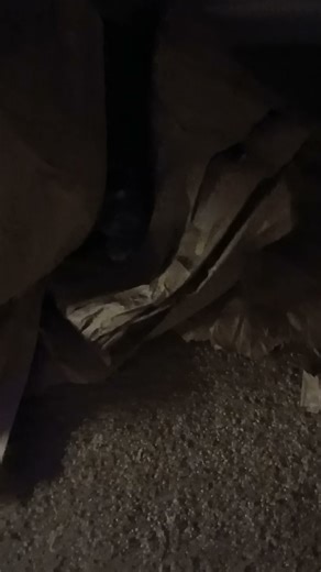 Caught another kitty in the cat trap!