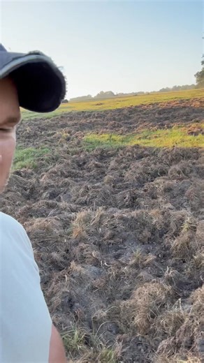 Call Texas Feeder Solutions for all your Hog trapping needs we have everything. We will save you as much money as possible on all trapping systems. | TFS Hog Traps and Trapping Systems