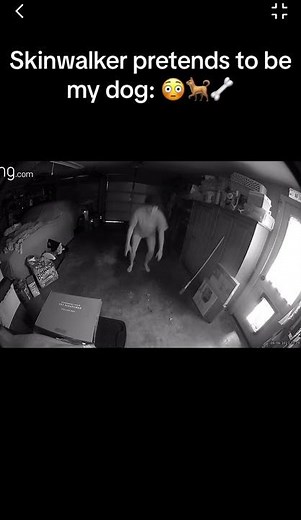Skinwalker Pretends to be Dog