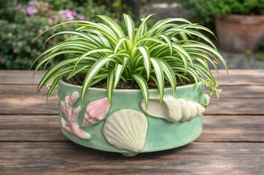 Sea Turtle Bowl Gift Handmade Ceramic Ocean Decor Coastal Planter Beach Pottery - Etsy