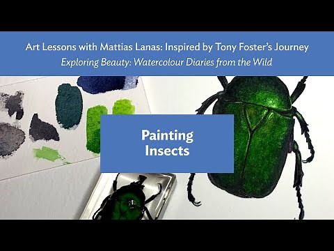 Ep. 7 PAINTING INSECTS — Art Lessons with Mattias Lanas: Inspired by Tony Foster's Journey