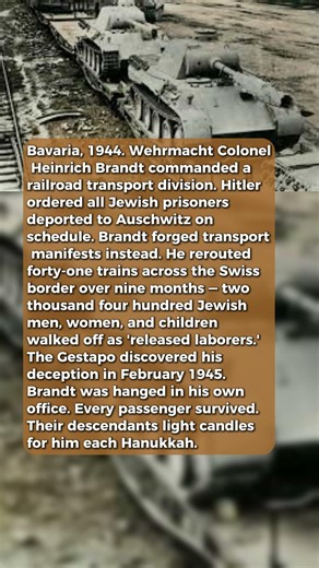 A Wehrmacht Colonel Smuggled 2,400 Jews Through Switzerland #short #history #ww2