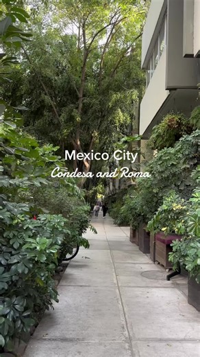Explore Condesa and Roma: Top Spots in Mexico City