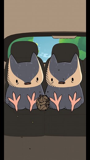 Fun Fact: Owls typically feed their strongest babies first before its siblings. (In reality though it’s usually the older chicks)🦉🍟🍔 #naturalhabitok #naturalhabitatshorts #naturalhabitat