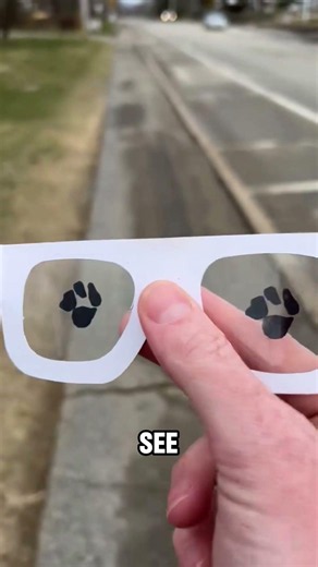 Different Types Of Blindness