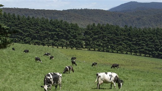 Vic dairy merger angers farmers