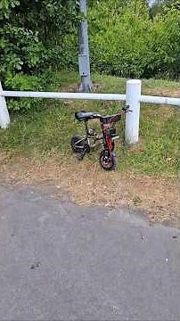 36v 350w Monorim Electric Mini Rocker BMX Build!