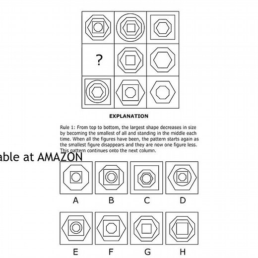 Raven's Advanced Progressive Matrices™ Practice Book