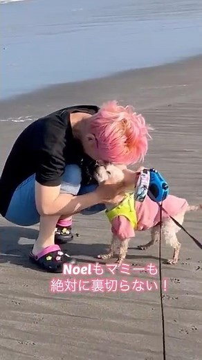 Tears flow💧Until a former rescue dog can run happily again~ #rescuedog