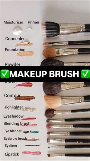 Makeup Brushes Guide for Beginners | Use Every Brush Correctly | Makeup Brush Types Explained