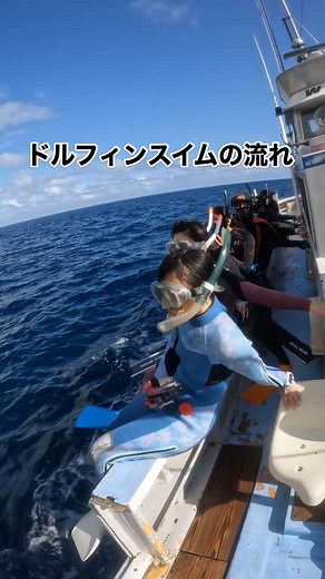 大阪 スキンダイビング/素潜り/ダイビング | ドルフィンスイムの流れ イルカ達がきたら5mくらいまで潜ってみて 今年はドルフィンスイムを楽しもう | Instagram