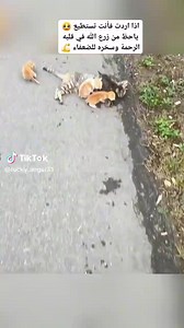 8.9K reactions · 583 shares | Noha Flower on Reels | Facebook