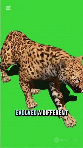 Top 10 Strongest Big Cats (Tier List Update: Bite Force, Muscle, Power)
