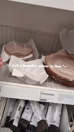 Exciting Hamster Supplies Haul from IKEA!