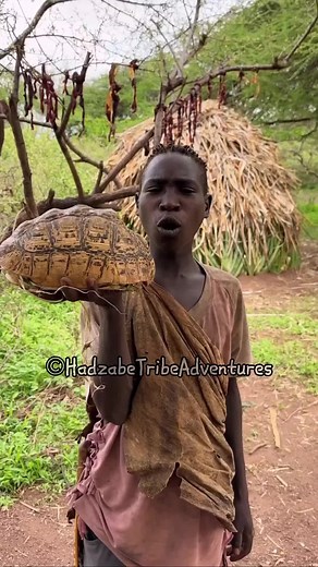 Bushman Life in Africa: Explore the Fascinating Hadzabe Tribe