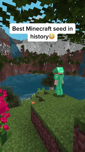 Discover the Ultimate Minecraft Seed for Survival!