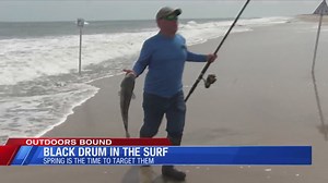 Surf Monsters! Catch them on the Virginia coast now!