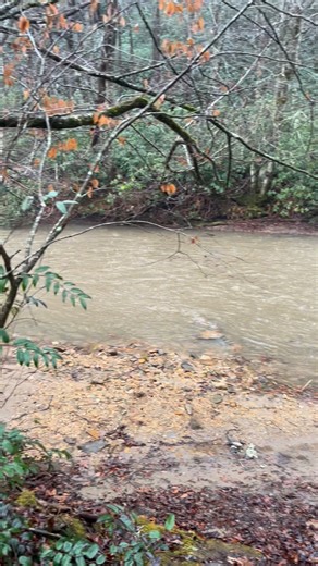 Scenes from the Mills River valley this morning as the river rose! | DB bar D Outfitters