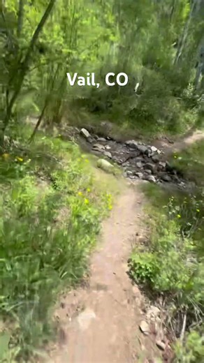 Hiking a gorgeous mountain trail with our dog in Vail, Colorado. Kids took the phone