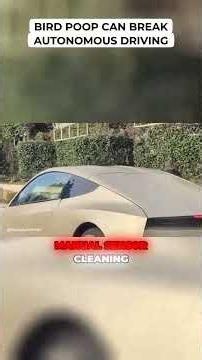 Bird Poop Can Break Autonomous Driving