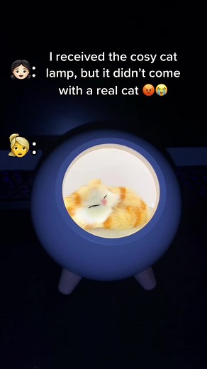 Cosy Cat Lamp Unboxing Surprise - Hilarious Reaction