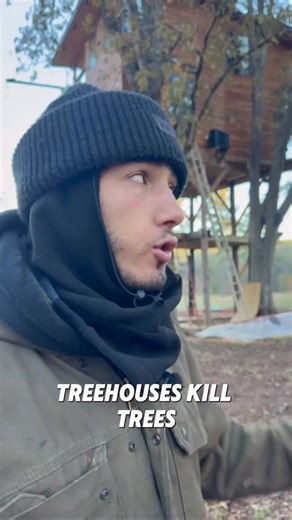 SouthernAdventures on Instagram: "Do treehouses kill trees?"