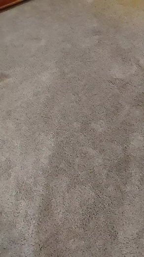 Jeffy wouldn't stop hogging the TV!! #foryou #foryoupage #comedy