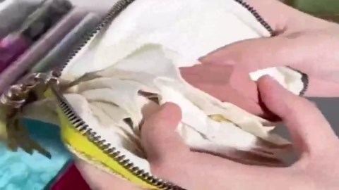 Travel Jewelry Case, Upgraded Crystal Jewelry Storage Pouch Portable Foldable Box Mini Jewelry Travel Bag, Velvet Jewelry Organizer Pouch for Women (Parrot Green)