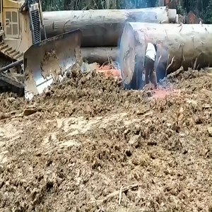 60K views · 881 reactions | Measure the jumbo wood in the middle of the forest | Mysterious Aliens | Facebook