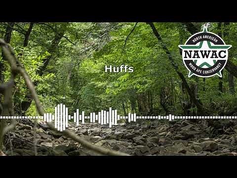 NAWAC Bigfoot/Sasquatch Audio Recordings: Whistle, huff, rock!