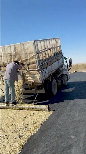 Spreading and Drying Pumpkin Seeds Outdoors