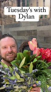 3.2K views · 167 reactions | Tuesday's with Dylan! | Designs by Dylan | Facebook